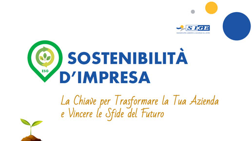 Sostenibilità di impresa