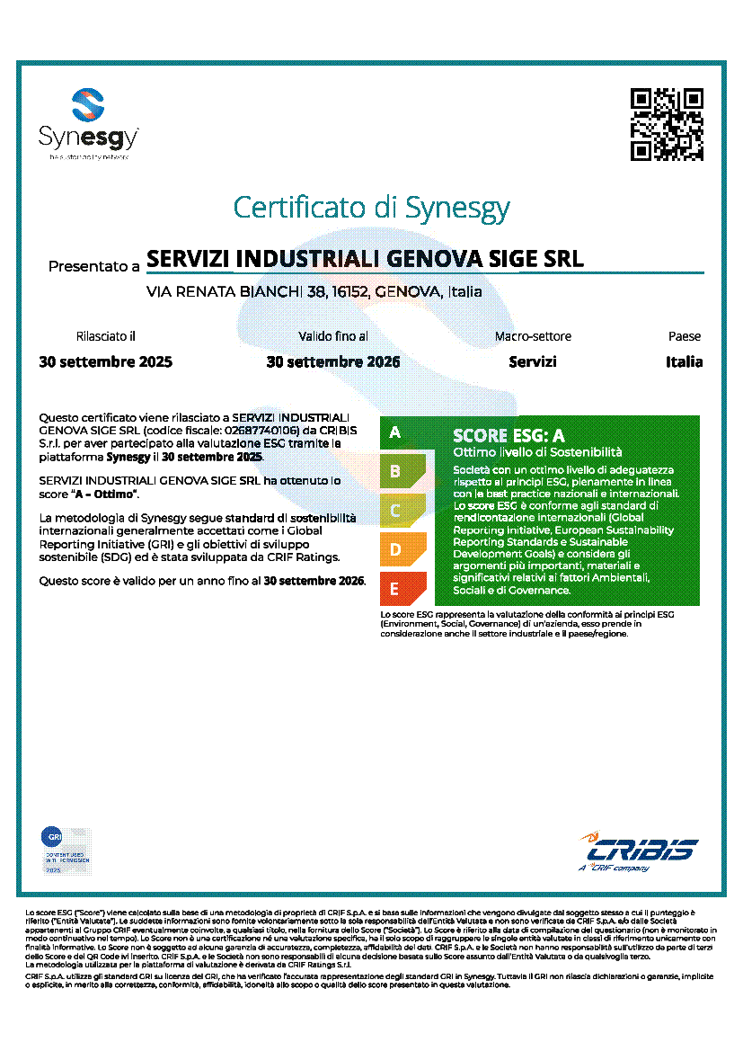 Certificato Sinesgy